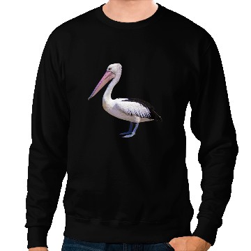 Discover Pelican Bird Dalmatian Pelican Ornithology Sweatshirts