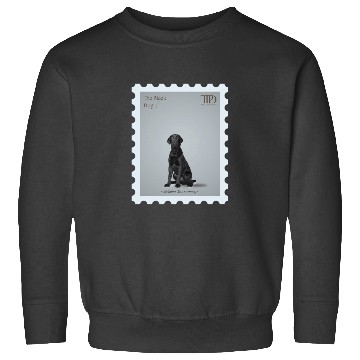 Discover The Black Dog Tayl0r Swift TTPD Sweatshirts