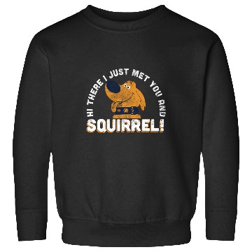 Discover Disney Pixar Up Dug Just Met And Squirrel Sweatshirts