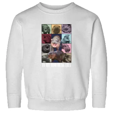 Discover Moo Deng Eras Tour, Moo Deng Sweatshirts