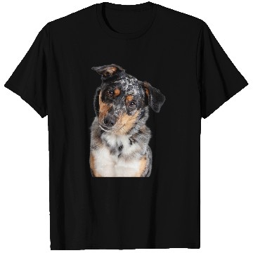 Discover Australian Shepherd 3 T-Shirts