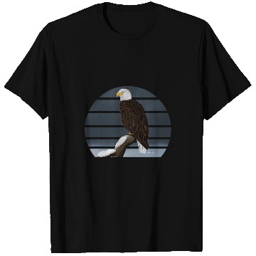 Discover Bald Eagle Bird Birdlover Birdwatcher Animal Biologist T-Shirts