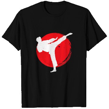 Discover Karate Kick Symbol Karateka T-Shirts
