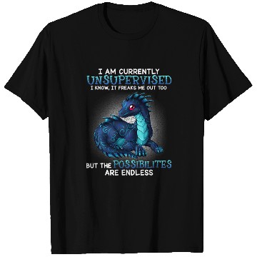 Discover I am currently unsupervised i know it freaks me out too T-Shirts