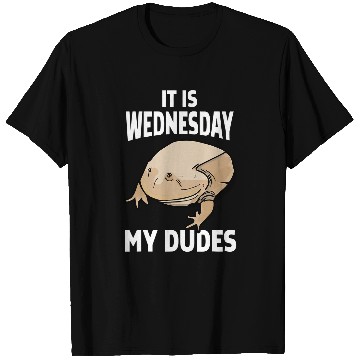 Discover It Is Wednesday My Dudes 1 T-Shirts