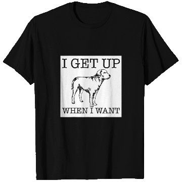 Discover Labrador Lab Dog funny dog lover gift 28 T-Shirts