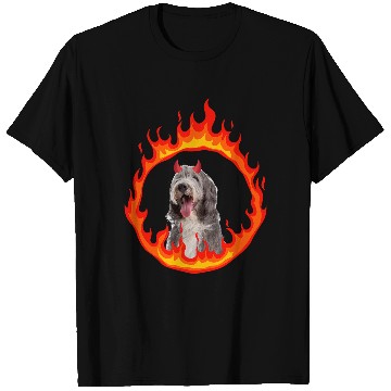 Discover Devil Dog Bearded Collie 2 T-Shirts