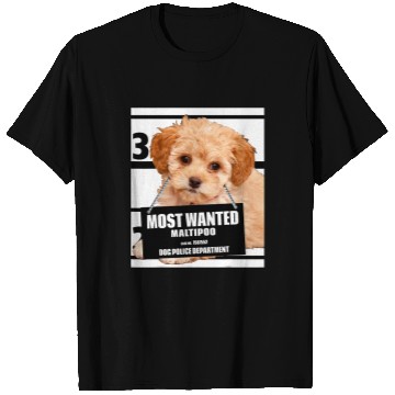 Discover Poodles mosts Wanted Maltipoo Maltese Miniature Poodle dog Poodle dog T-Shirts