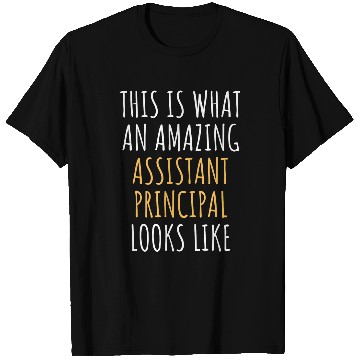 Discover ASSISTANT PRINCIPAL Funny Job Title Profession Worker Idea T-Shirts