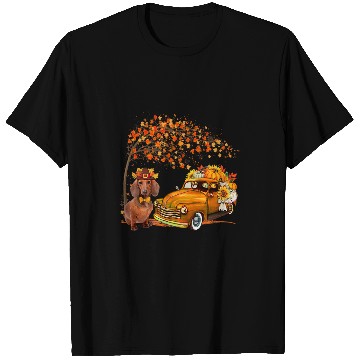 Discover Dachshund Pet Wearing Hat Fall Tree Pickup Truck Pumpkins T-Shirts