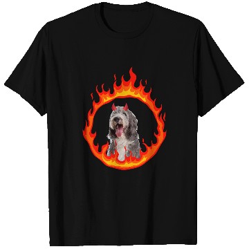 Discover Bearded Collie Pet Devil Dog Bearded Collie 2 T-Shirts
