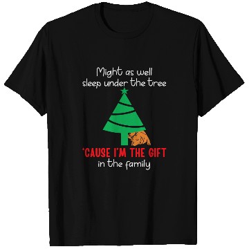 Discover Labrador Pet Christmas Sleep T-Shirts