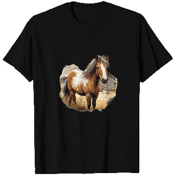 Discover Pony Iceland Horse Shetland Pony Shetty 4 T-Shirts