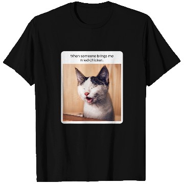 Discover Chicken Pet Funny Cat Meme When Someone Brings Me Fried T-Shirts
