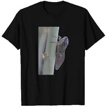 Discover Cicada Vector Cut Out T-Shirts