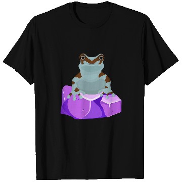 Discover Frog Pet Crystal Amethyst Gemstone for Toad Owners T-Shirts