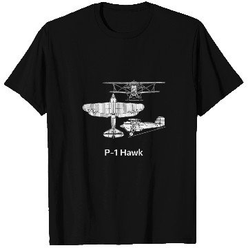 Discover Curtiss p1 hawk Curtiss Model 34 p 1 hawk plane T-Shirts