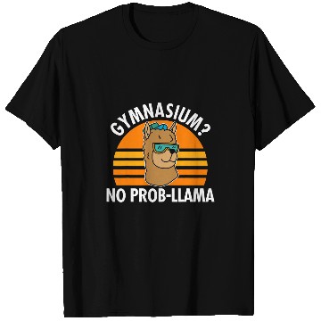 Discover Llama Pet High School Funny Llama Gift School th Class T-Shirts
