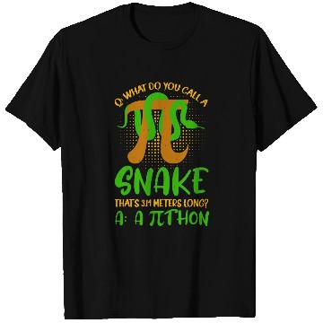 Discover Python Pet Pithon Pi Symbol Funny Math Teacher T-Shirts