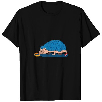 Discover Hedgehog Pet And Onion Ring T-Shirts
