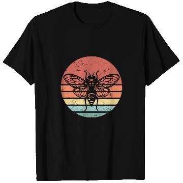 Discover cicada 2024 Cicada Fest 2024 Broods XIX 2XIII T-Shirts