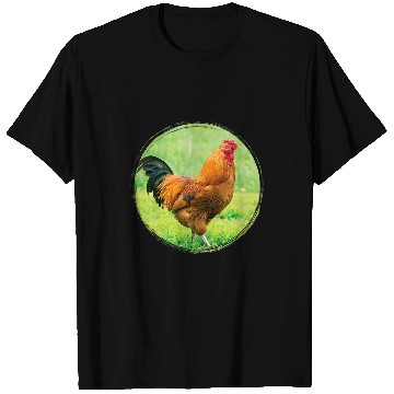 Discover Chicken Pet Rooster on the Grass T-Shirts