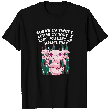 Discover Axolotls Pet I Like You Like an Axolotls Fart Salamander Funny Axolotls Pet 22 T-Shirts