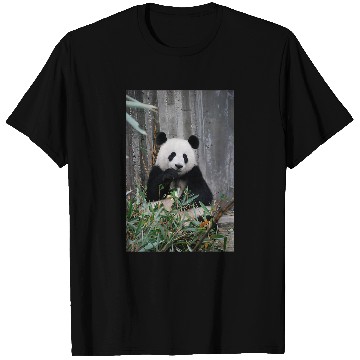 Discover Panda Pet Eating Bamboo Leaves T-Shirts