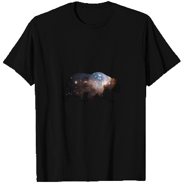 Discover Bear Pet Space Bear NASA Hubble Space Telescope T-Shirts