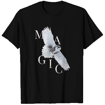 Discover Owl Pet Magical Owl Birds Barn Owl Library 3 T-Shirts