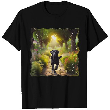 Discover Beautiful Black Lab Dog Running Down a Garden Path T-Shirts