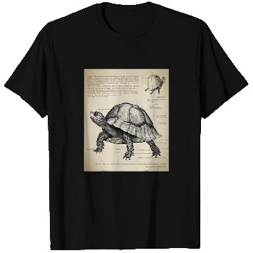 Discover Turtle Pet Box Turtle Structural Blueprint T-Shirts