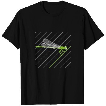 Discover Dragonfly Insect Animal Nature Wings Gift T-Shirts