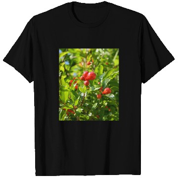 Discover Pomegranate Closed Red Flower Bud Photography T-Shirts