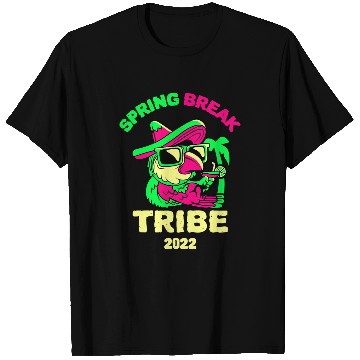 Discover Spring Break Florida 2Drinking Parrot Margarita 2 T-Shirts