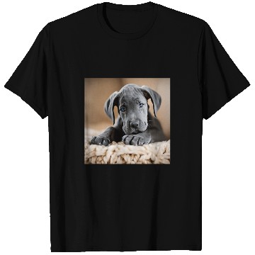 Discover Great Dane Puppy Close Up T-Shirts