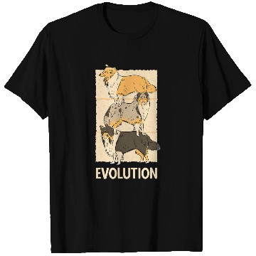 Discover Evolution Border Collie Dogs Herd T-Shirts