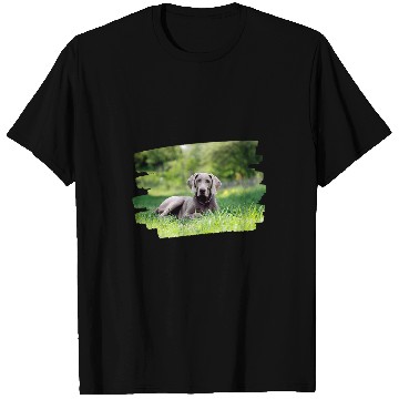 Discover Weimaraner Dog Lover 1 T-Shirts