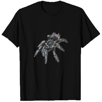 Discover Zebra Tarantula Spider T-Shirts