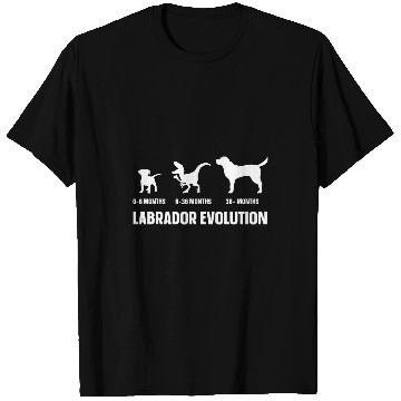 Discover Labrador Evolution Design for a Labrador Owner T-Shirts