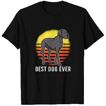 Discover Dog Great Dane German Mastiff Great Dane Sunset 29 9 7 T-Shirts