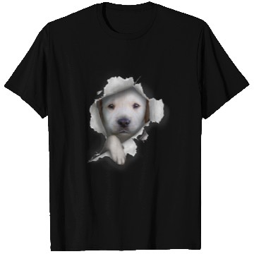 Discover Labrador Lab Dog Tshirt Cute Yellow Lab Shirt Labrador T-Shirts
