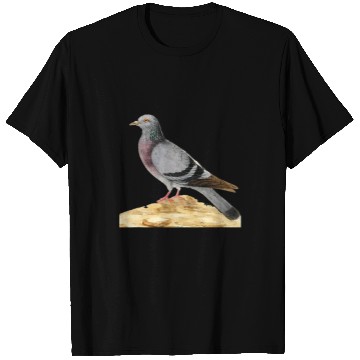 Discover vintages Pigeon Whisperer Trains racing or fancy pigeons T-Shirts