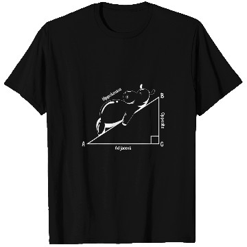 Discover Funny Hippopotamus Math Teacher Geometry Teaching Student T-Shirts