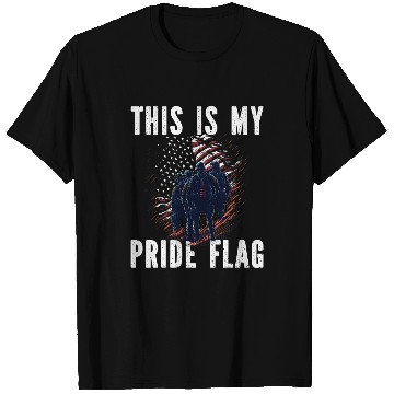 Discover This Is My Pride Flag On Memorial Day T-Shirts