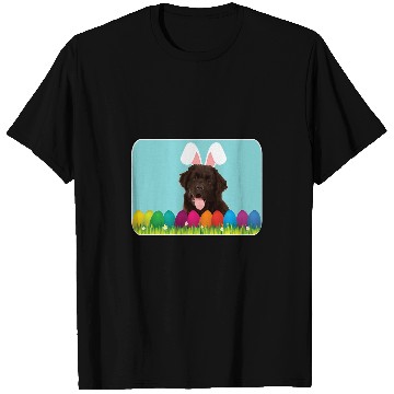 Discover Newfoundland w Bunny Ears T-Shirts