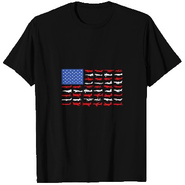 Discover Pilot Airplane American Flag Plane Aviation T-Shirts