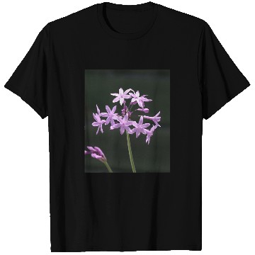 Discover Society Garlic Close Up Photograph T-Shirts