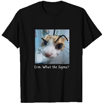 Discover Erm What the Sigma Funny Cat Meme 1 T-Shirts