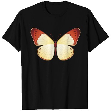 Discover Orange tip T Shirts